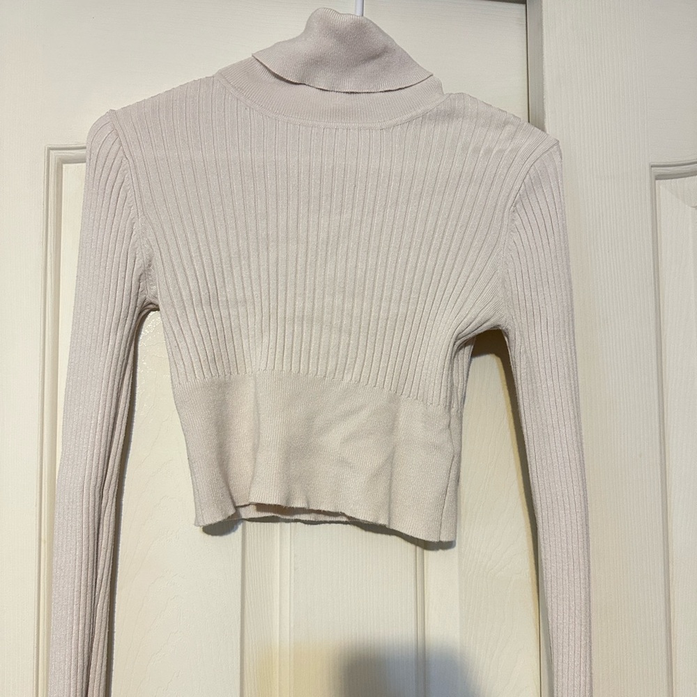 Cropped Turtleneck Top